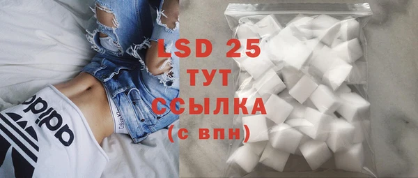 тгк Снежногорск