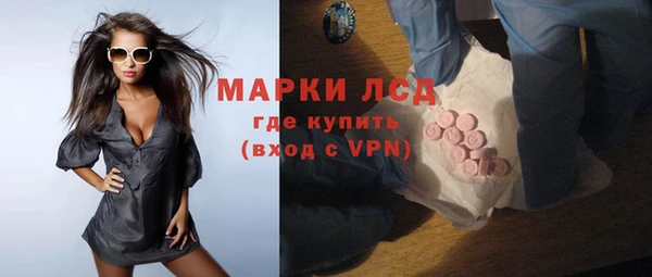 тгк Снежногорск