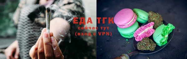 тгк Снежногорск