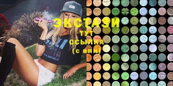 тгк Снежногорск