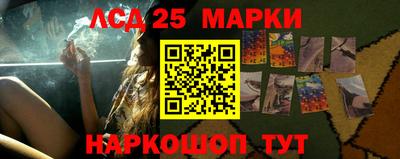 СК Апшеронск