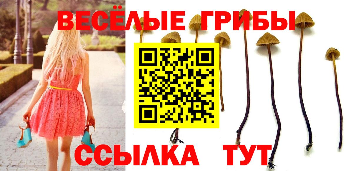 Галлюциногенные грибы прущие грибы Сосновый Бор