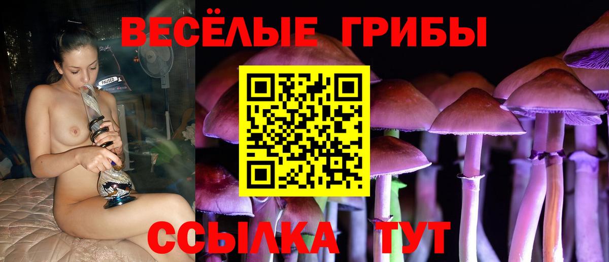 Мефедрон   NBOMe  Канабис  Вход с VPN  Сосновый Бор  Магазины продажи наркотиков  ГАШИШ  МЕТАМФЕТАМИН 